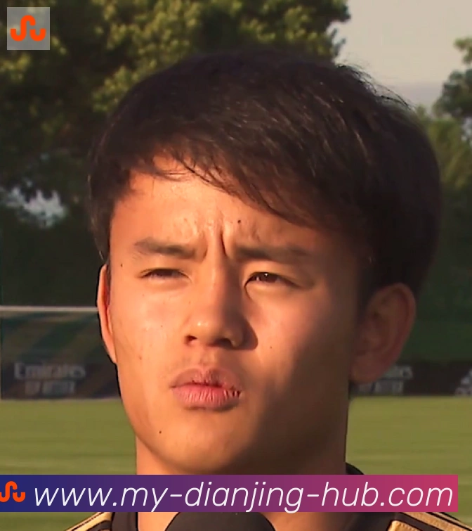 维尼修斯